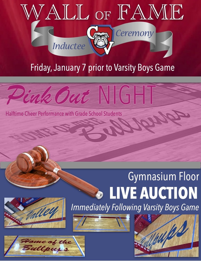 Wall of Fame Friday Jan 7 prior to boys game, pink out halftime performance, Gym Floor Live Auction Immediately following the Varsity Boys Game! 